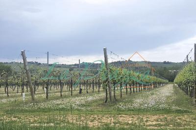 Terreno agricolo di 110.000 mq in vendita a Faenza